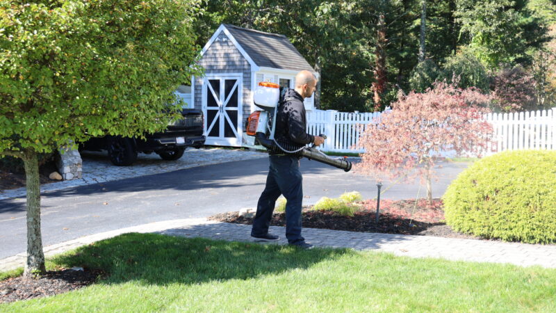 Hanover, MA Mosquito and Tick Control