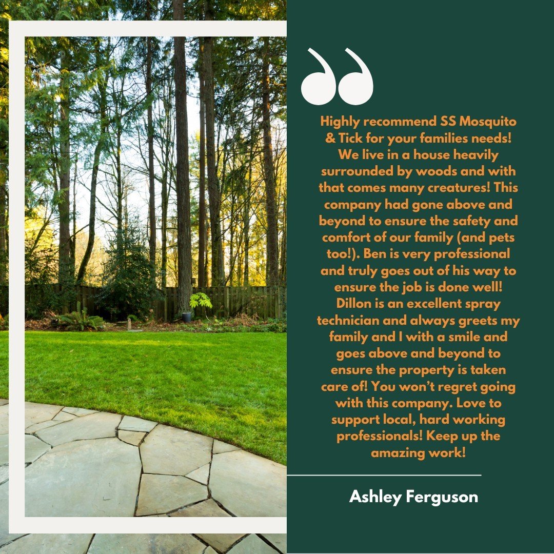 🌟 Wow, what an amazing review! 🌟 Thank you, Ashley, for your kind words and for trusting us...