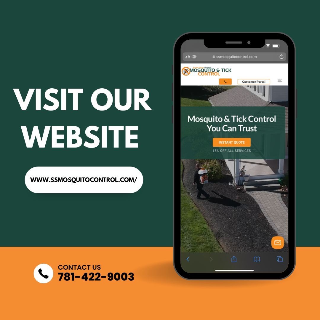 For more information and to explore our services, visit our website where you'll find our...