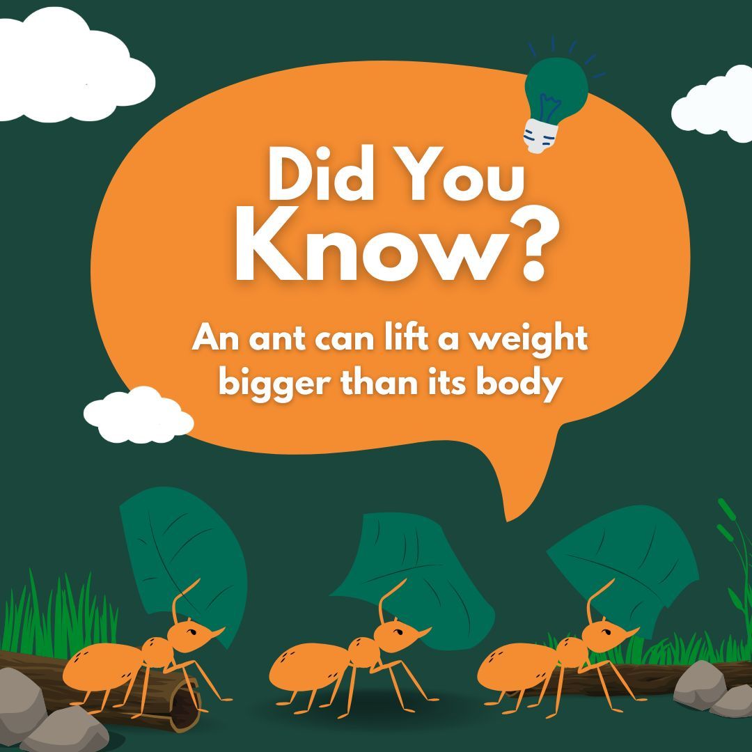 Did you know that ants are like the superheroes of the insect world? ⁠ ⁠ Despite their tiny size,...