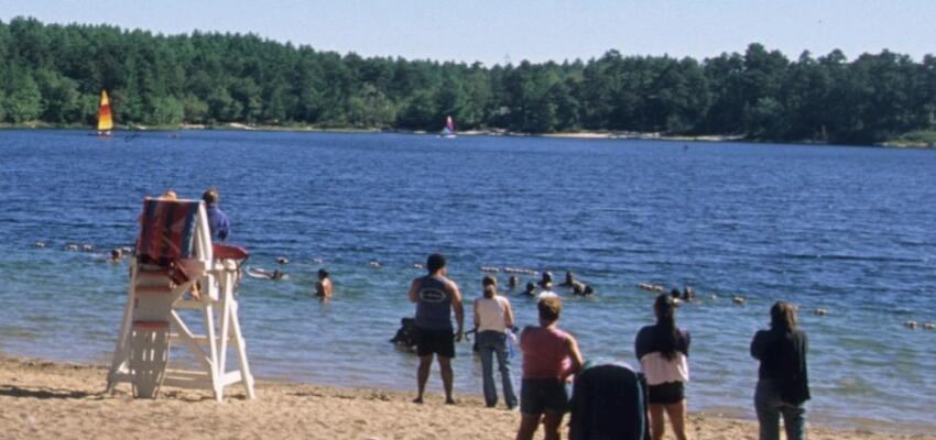 Pine forest and trails at Myles Standish State Forest in Carver Massachusetts
