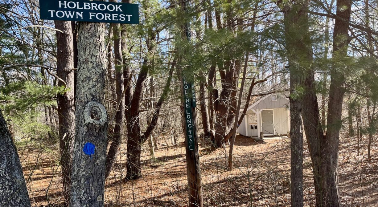 Holbrook Town Forest wooded trails in Holbrook Massachusetts