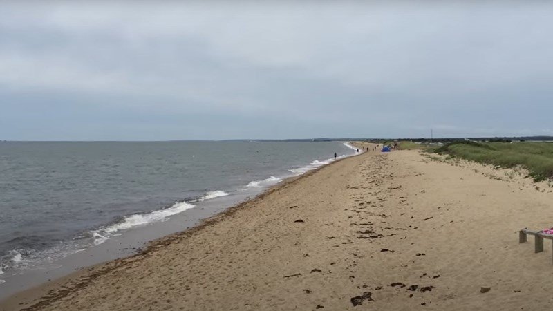 South Cape Beach dunes in Mashpee Massachusetts