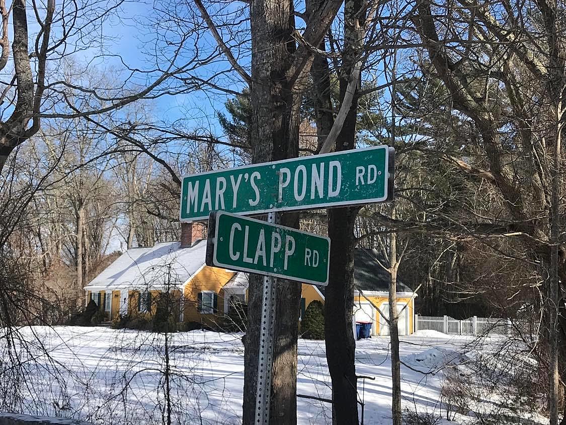 Marys Pond wooded shoreline in Rochester Massachusetts