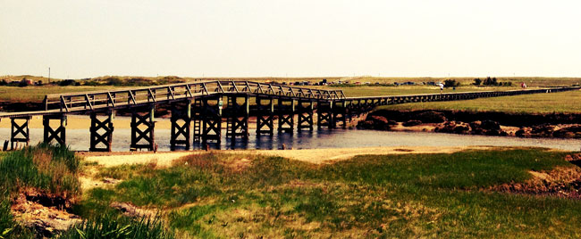 Sandwich Boardwalk over marshland in Sandwich Massachusetts